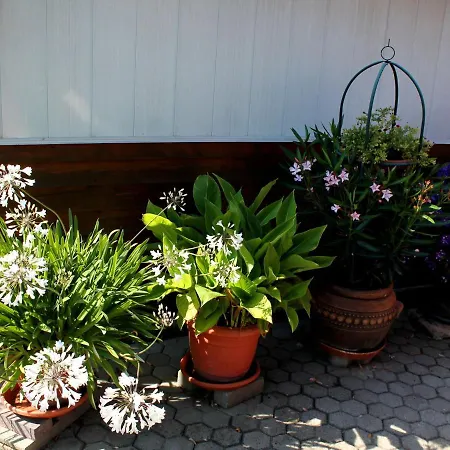 Tatil Evi In Schoener Garten *