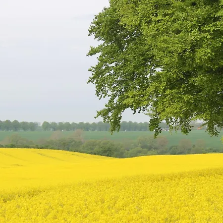 In Schoener Garten Tatil Evi *